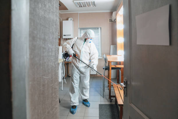 Professional Mold Removal in Glenville, CT